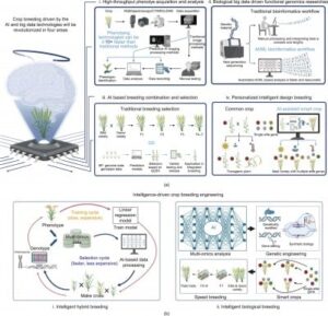 下一代 AI 和大数据：改变作物育种