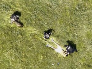 被摄像机捕捉：劫匪无法躲避警用无人机