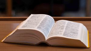 剑桥词典为“slop”添加了新的定义，以反映“AI 创建的低质量内容”