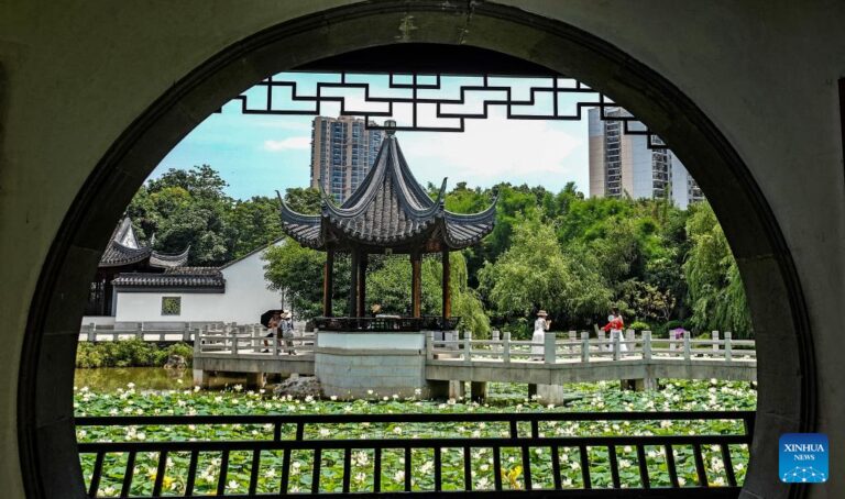 中国各地的夏日盛开让游客赏心悦目