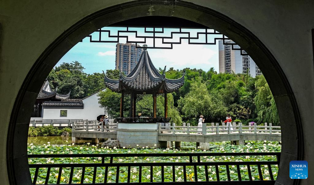 中国各地的夏日盛开让游客赏心悦目