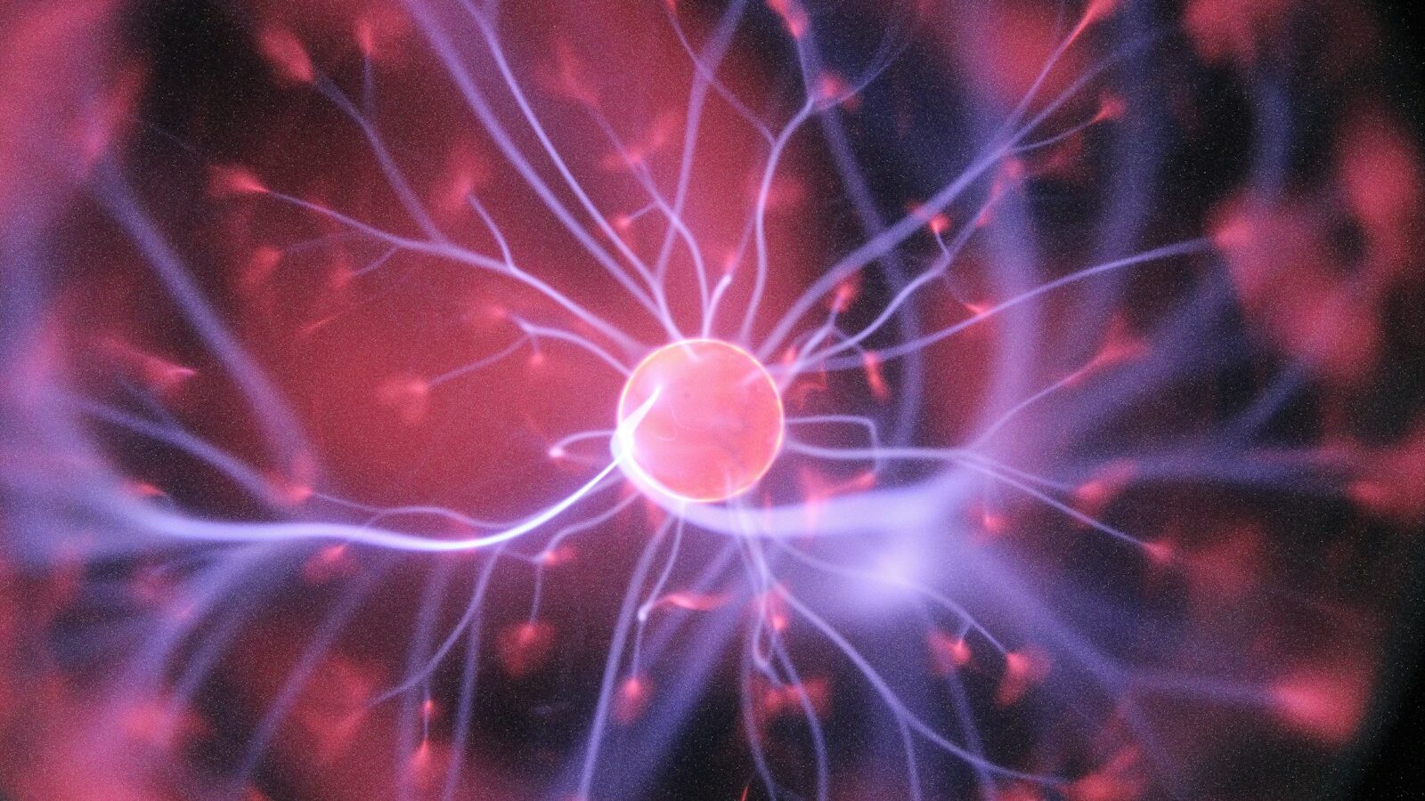 大脑、偏见和突破：用神经科学解决 AI 学习焦虑
