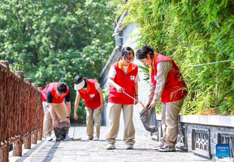 中国各地举办各种活动庆祝世界环境日
