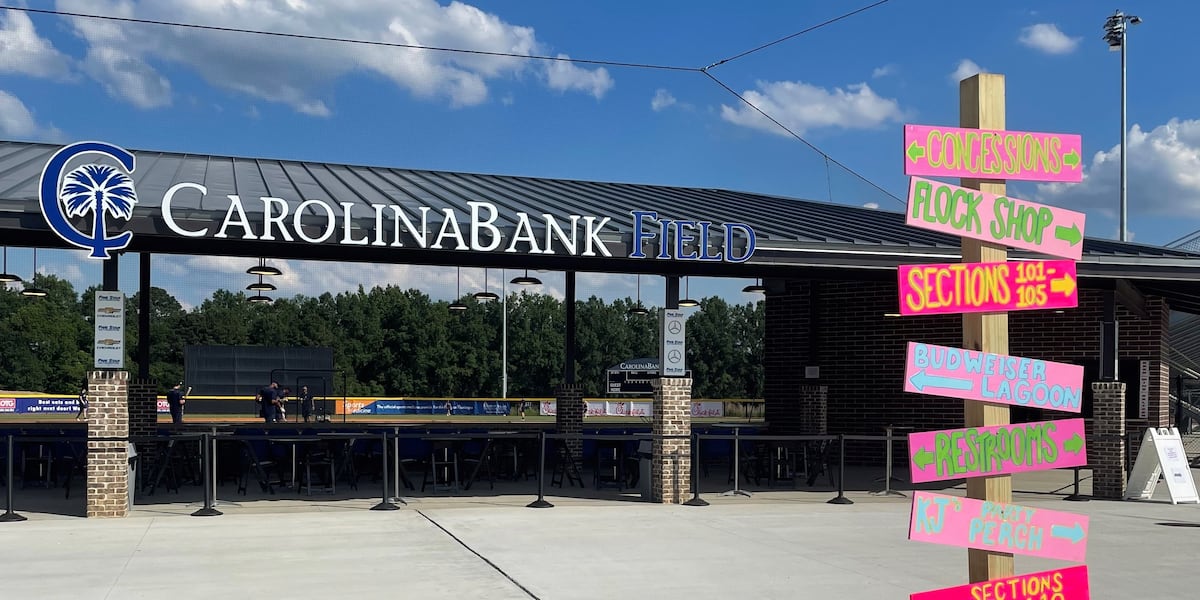 警方表示，无人机帮助抓获了佛罗伦萨棒球场闯入的 3 名嫌疑人中的 1 名