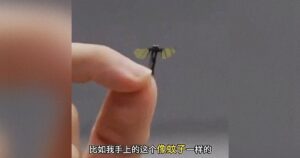 中国军方炫耀用于秘密行动的苍蝇大小的无人机