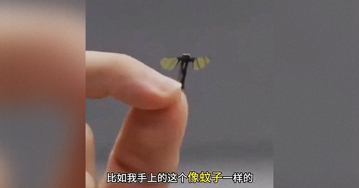 中国军方炫耀用于秘密行动的苍蝇大小的无人机