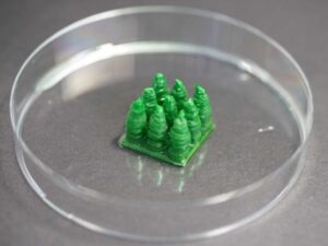 科学家创造出捕获二氧化碳的生物建筑材料