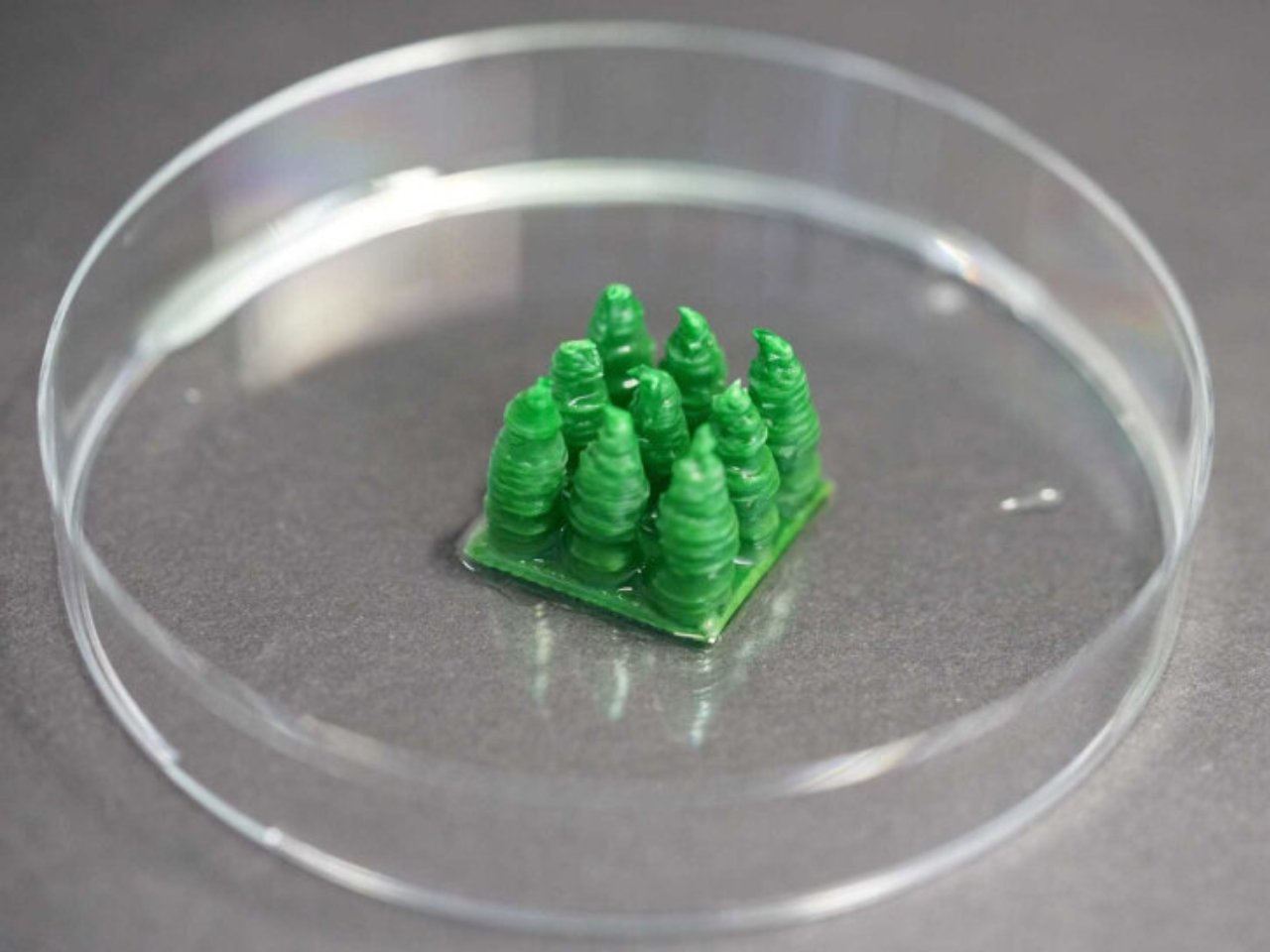 科学家创造出捕获二氧化碳的生物建筑材料