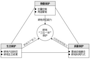 耕地保护“三位一体”确保粮食安全