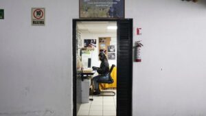 高科技工具和猪如何帮助寻找墨西哥贩毒集团受害者