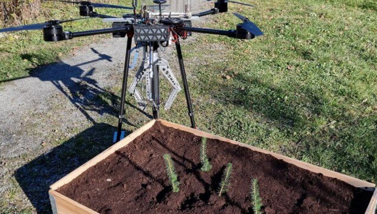 无人机植树可以取代人工植树吗？