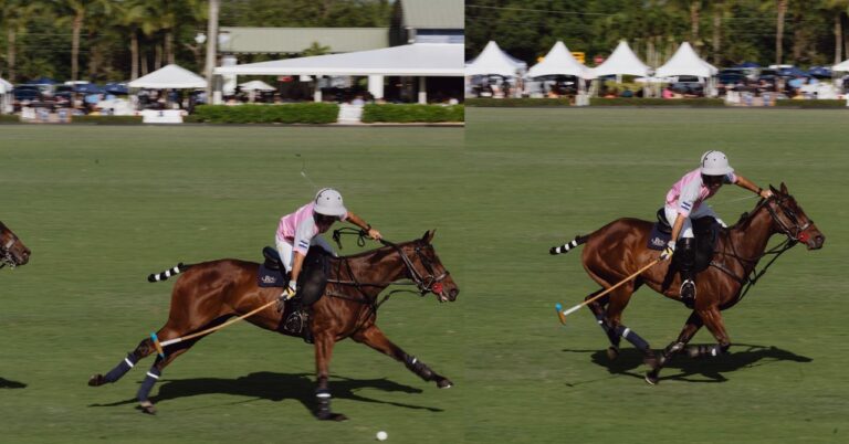 克隆来到了 Polo。然后事情变得真正不文明