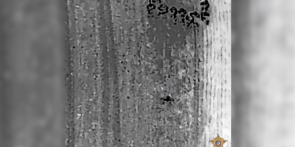 观看：无人机镜头显示武装车辆抢劫嫌疑人被捕的时刻