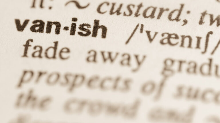 通过突然删除已保存的单词列表来 Dictionary.com “毁灭性” 付费用户