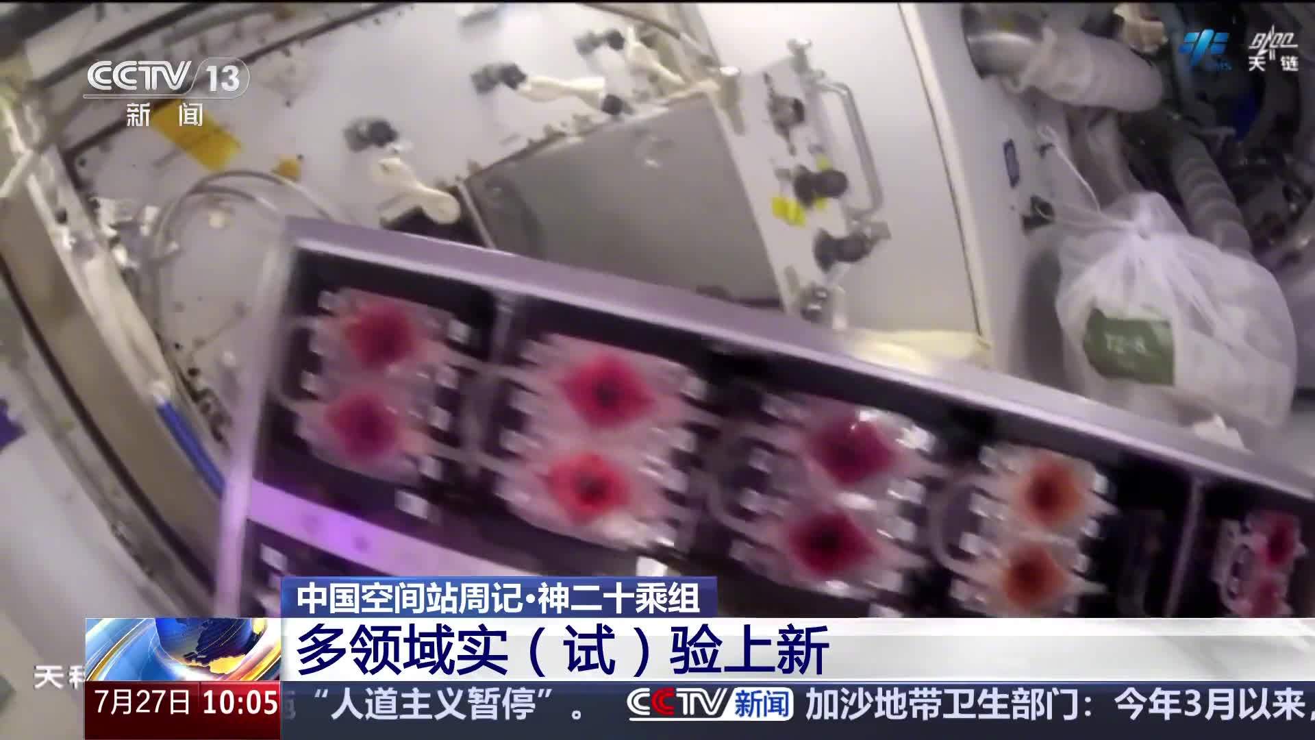 航天员签收“太空快递”后忙啥？空间站启动多项新实验