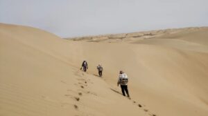 塔里木盆地深1820米发现大型铀矿