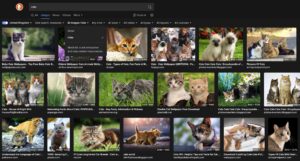 厌倦了在网上随处可见的 AI 图像？DuckDuckGo 将让您从搜索结果中过滤掉