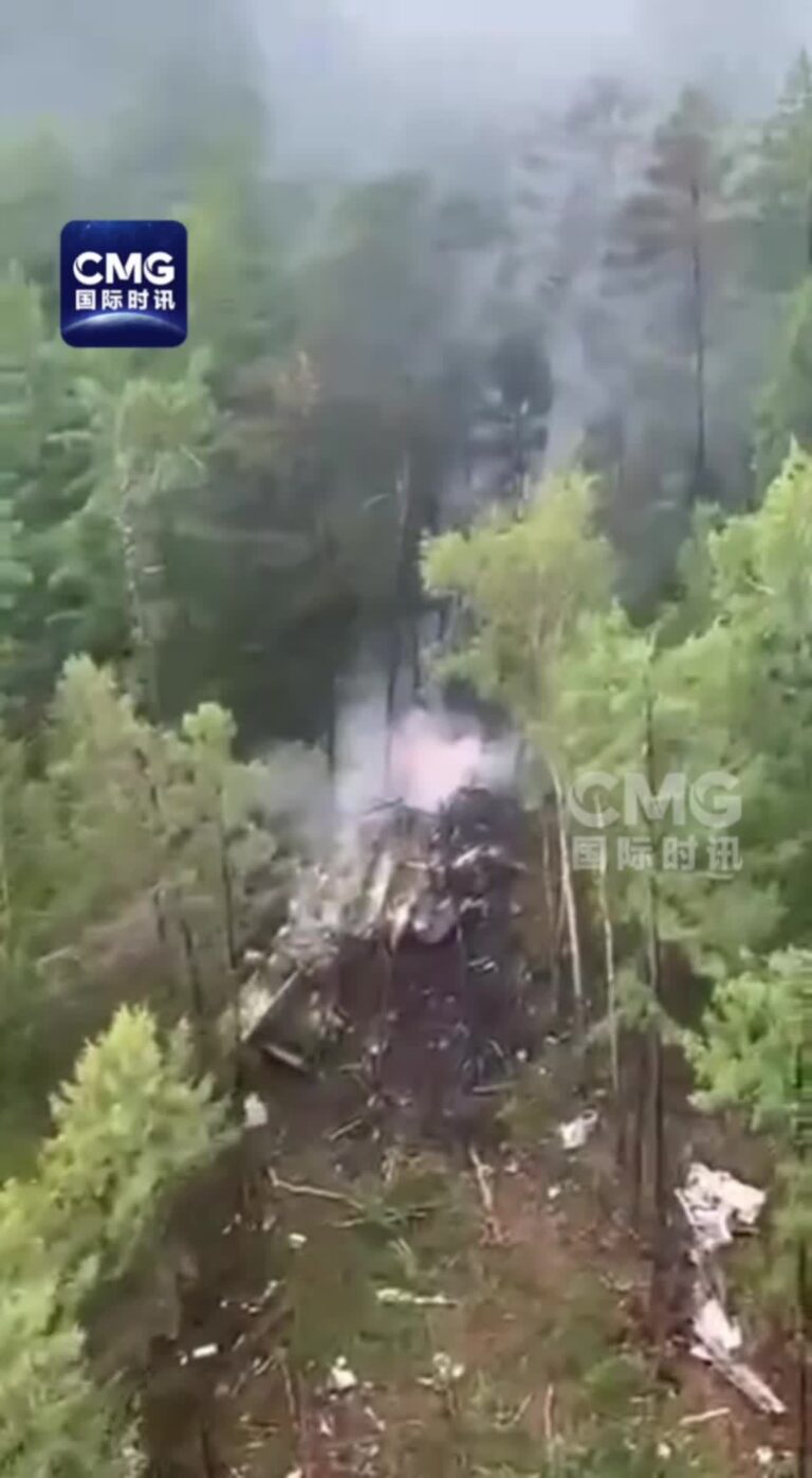 俄安-24客机坠毁现场起火视频曝光