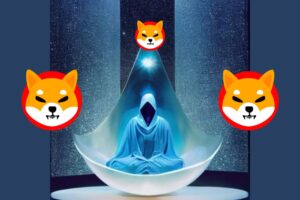 Shiba Inu Lead Dev 为 SHIB 持有者带来了重大消息