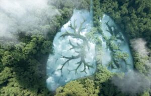 为什么 ProSocial AI 是 ProPlanetary AI。对地球和谐的承诺