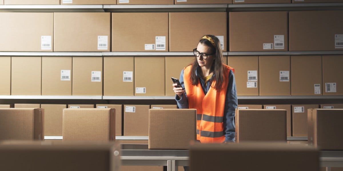 如果您想要一幅未来的图景，想象一下人类检查 AI 没有犯错 – 永远