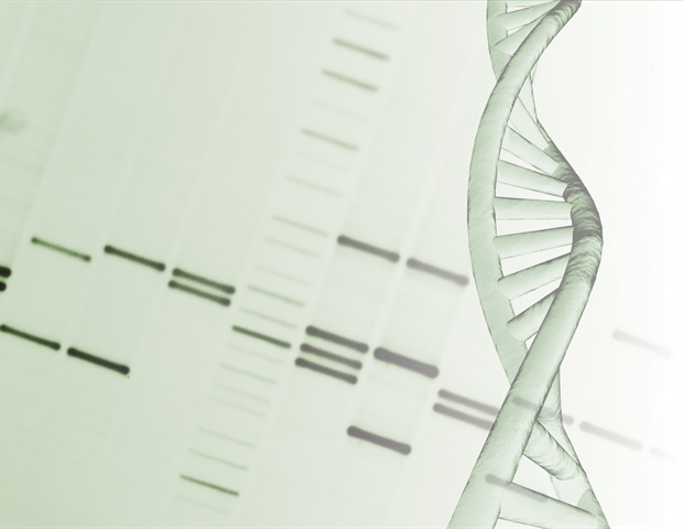 新的 AI 工具以前所未有的准确性从 DNA 预测年龄
