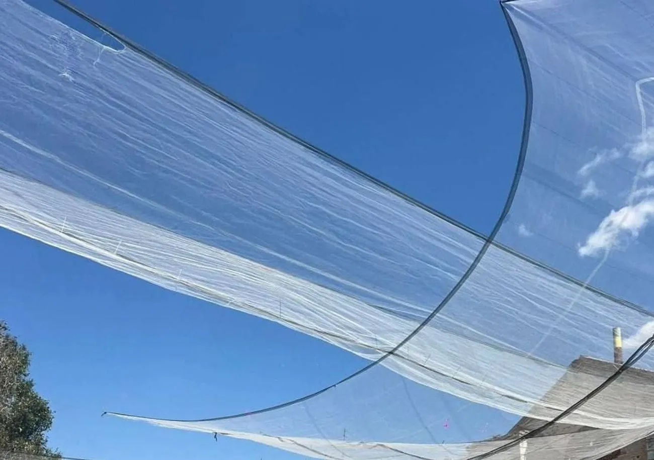 扎波罗热州正在安装防无人机网：特别是，奥里希夫的街道上已经出现了建筑物