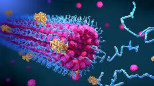 BioEmu AI 揭示了生物条件下的蛋白质编排
