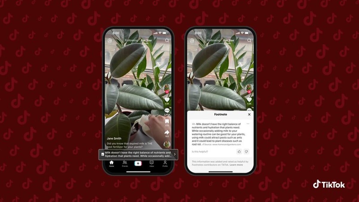TikTok 以脚注的形式推出社区笔记，这是一种新的事实核查工具