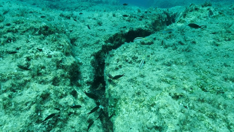 自动驾驶水上飞机监测海底以发出地震预警