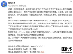 格力回应“消费保”排名：民间机构无官方资质