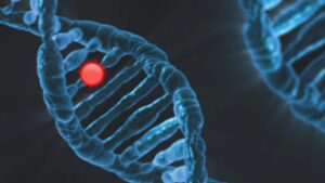 用于治理医疗保健 AI 的“真正的生命周期方法”