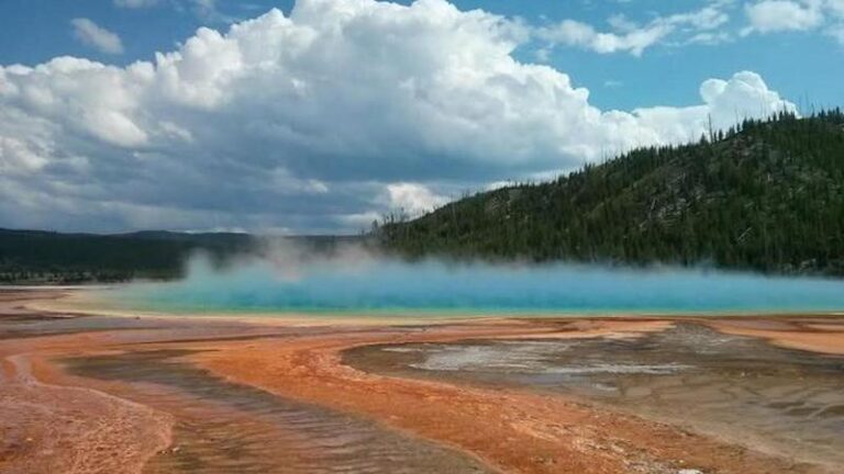 机器学习揭示了黄石火山口的历史地震事件