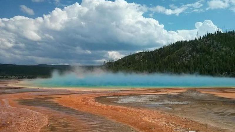 机器学习揭示了黄石火山口的历史地震事件