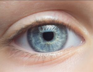 新型 AI 视网膜追踪器可在 1 秒内检测到眼部疾病