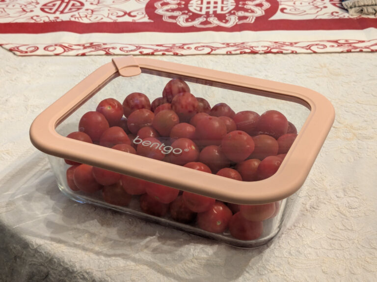 Bentgo Signature Glass Food Storage Set 评论 – 到目前为止，非常完美