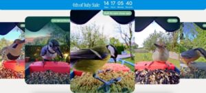 李现也来参与的“观鸟”，在全球拥有千亿级市场｜产品观察