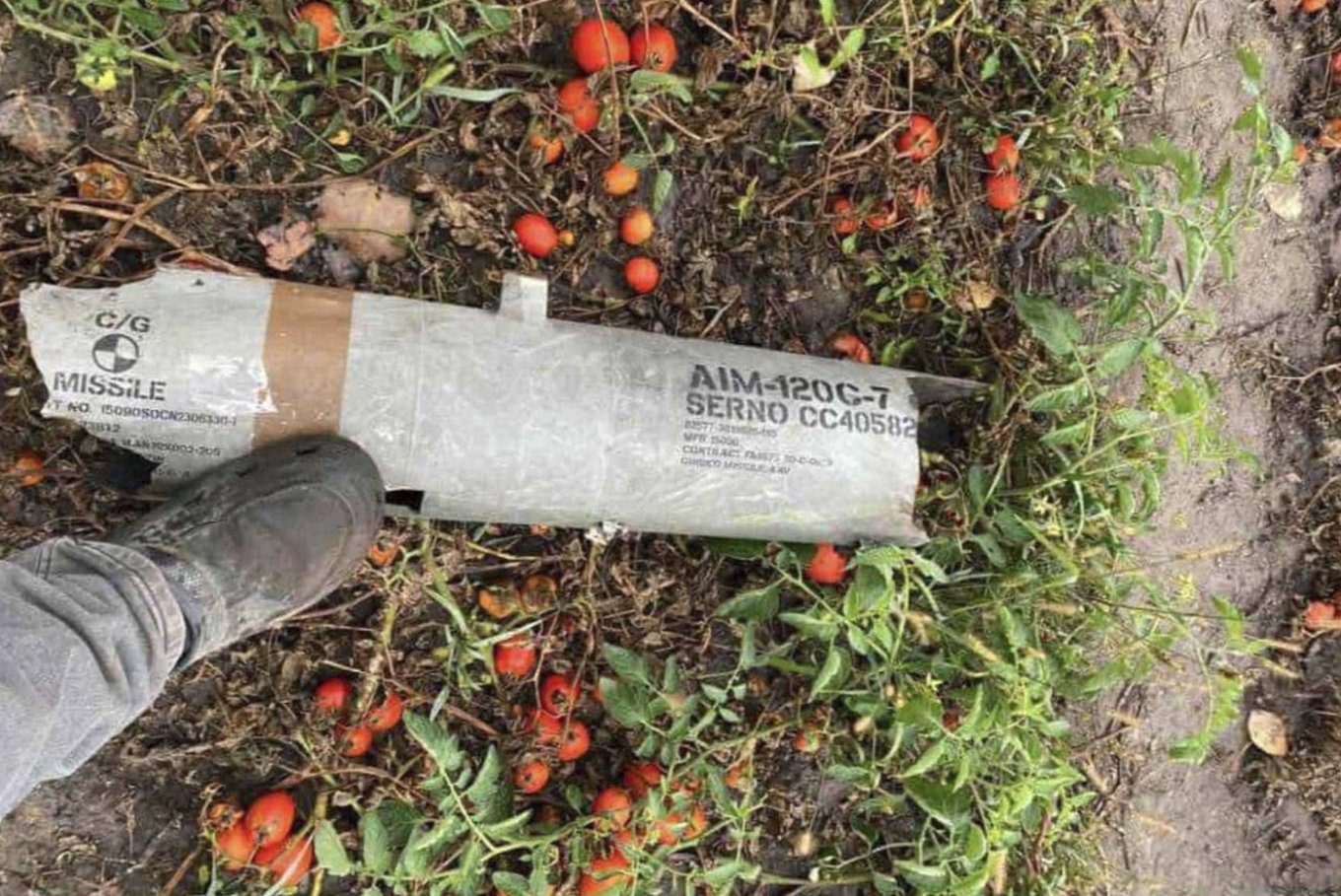 波兰探索低成本防空方案应对无人机威胁