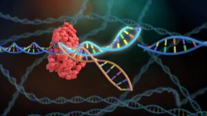 CRISPR-GPT加速基因编辑，降低科研门槛