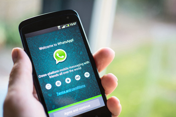 WhatsApp禁第三方AI聊天机器人，2026年生效，Meta独占