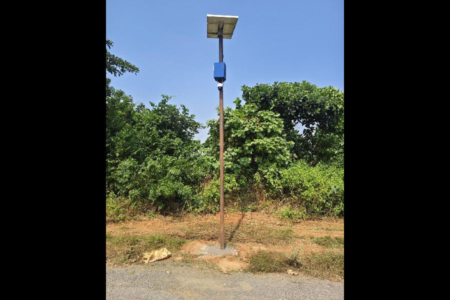 贾尔格拉姆安装AI摄像头实时监控大象，预防人象冲突