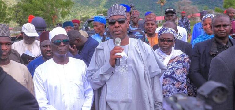 尼日利亚州长呼吁联邦政府加强空域安全应对无人机威胁