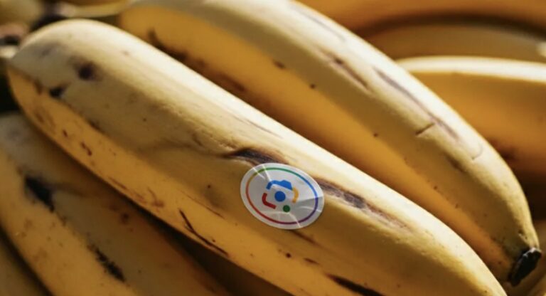 谷歌Nano Banana AI图像编辑登陆搜索、笔记和照片