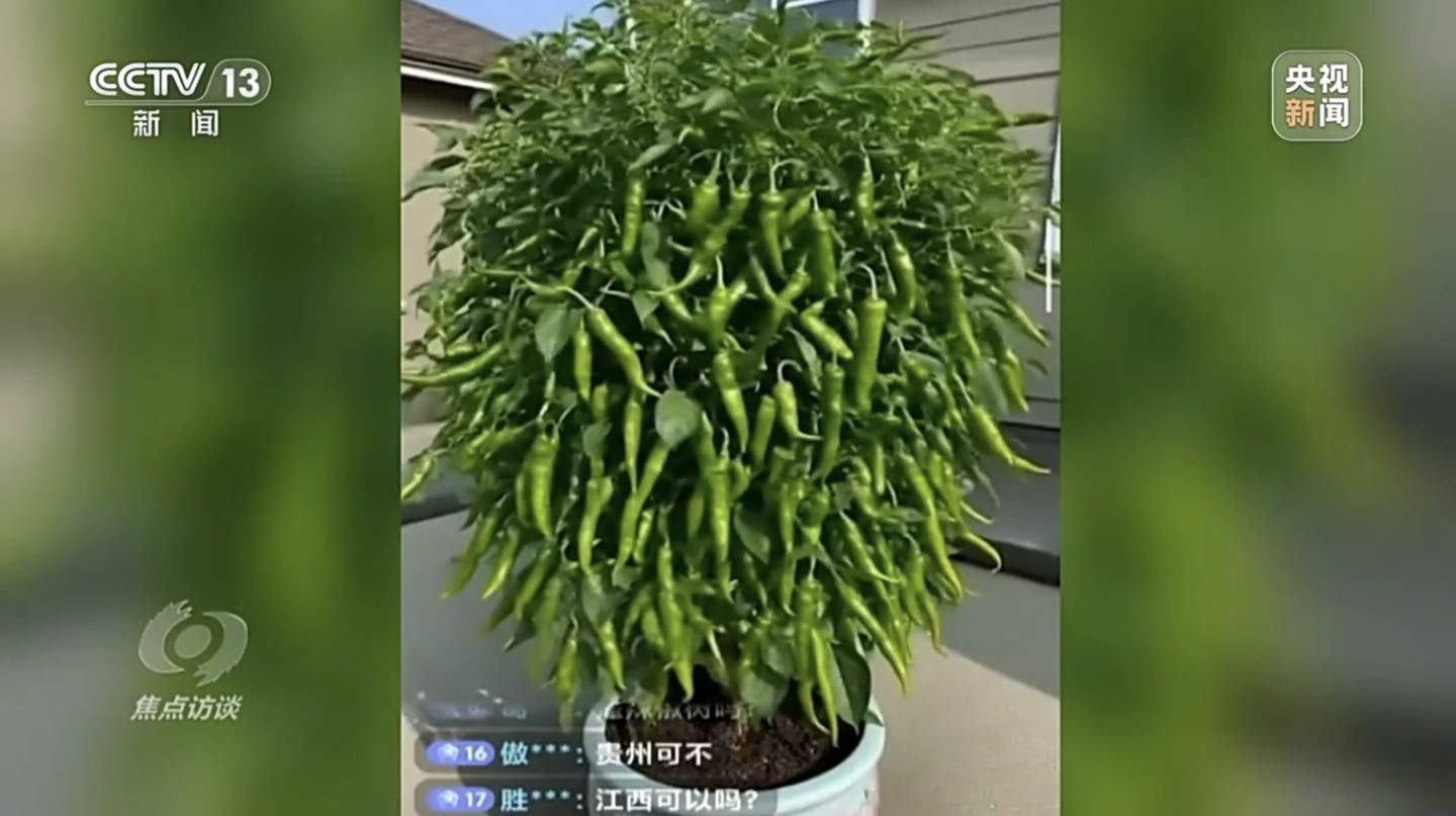 央视揭秘网络直播间 AI 生成“李鬼”产品：一张照片就能生成一段带货视频，消费者难辨真伪