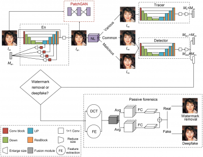 深大与辽经研团队提出全防御框架,有效检测和追踪深度伪造源