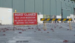 谷歌将在圣诞岛建大型AI数据中心，强化印度洋军事监控