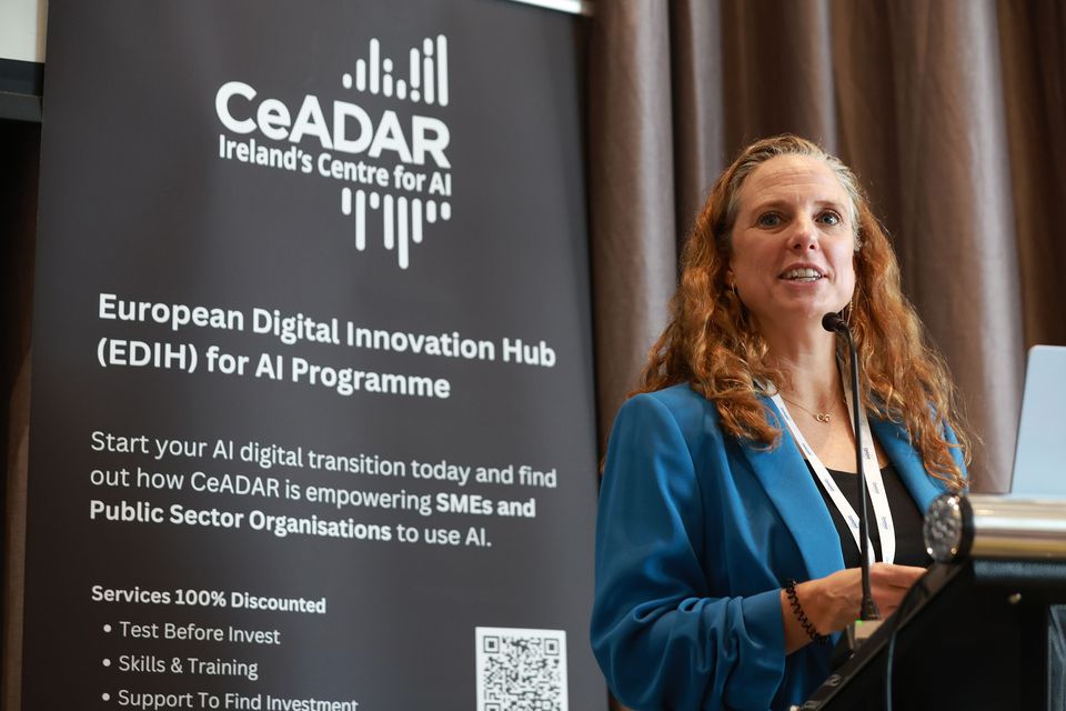 爱尔兰通过EEN和EDIH引领AI创新潮流