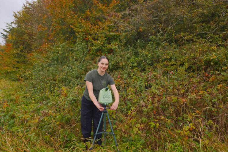 AI浏览器掀起互联网搜索市场新战局