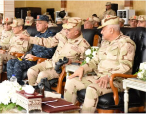 埃及防长出席防空导弹实弹演习