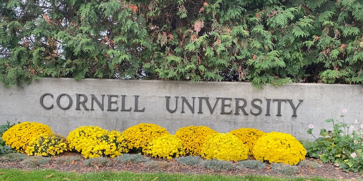 康奈尔教授开发多感官学习AI系统